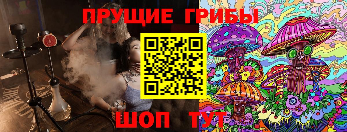 Шелехов  Псилоцибиновые грибы прущие грибы  Вход с VPN  Галлюциногенные грибы мухоморы 
