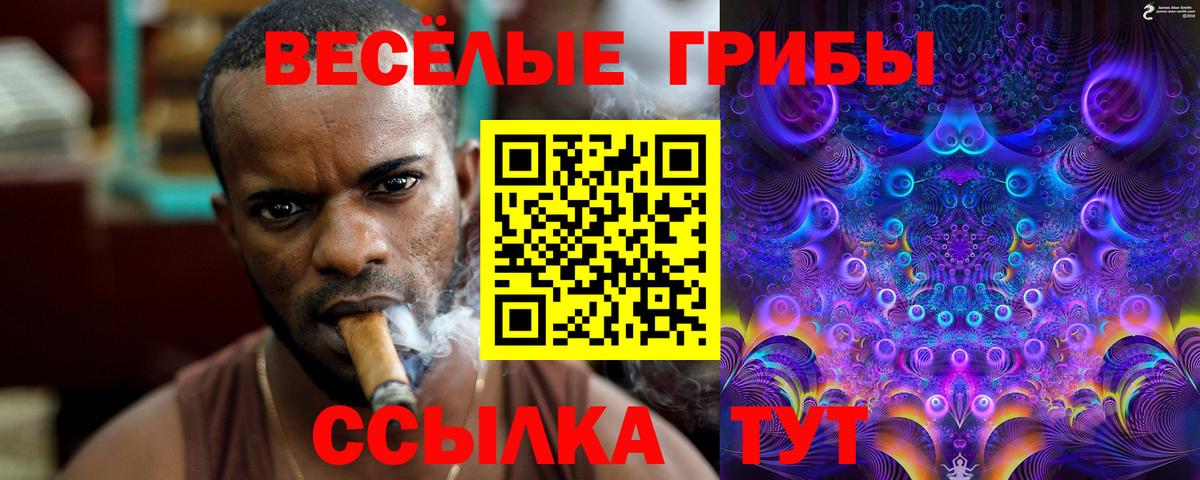 Галлюциногенные грибы мухоморы Шелехов
